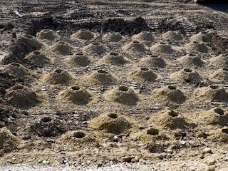 Bodengutachten Bodengutachten