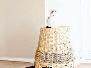 Fertighaus Homestory 215 von LEHNER HAUS Schlüsselfertig ab 360100€, Stadtvilla Innenansicht 2